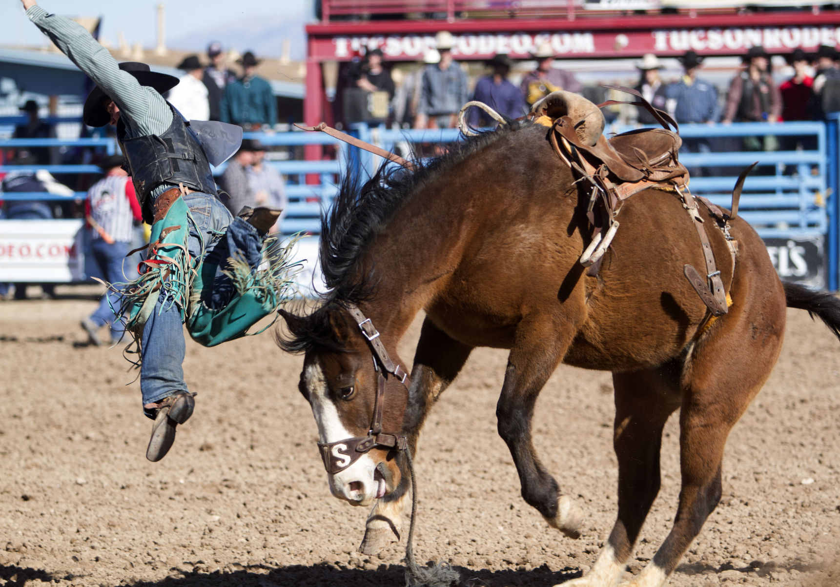 2018 Tucson Rodeo